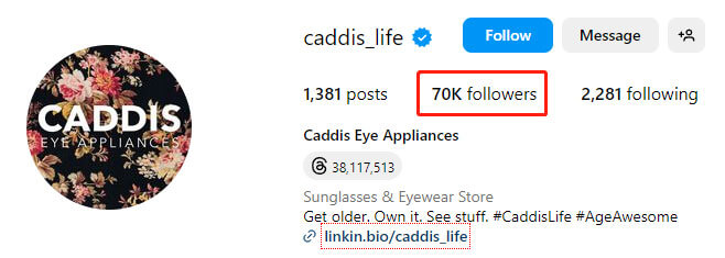Caddis-ins